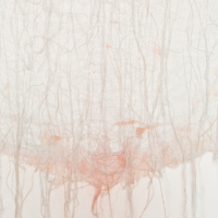 Zonder titel - detail - 2014